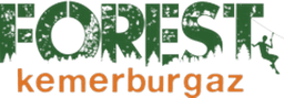 Müşteri logosu